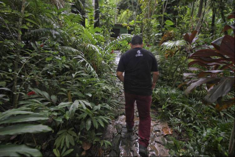 NO CEARÁ, a Mata Atlântica ocupa uma área total de 1.873 km², distribuída em dez regiões