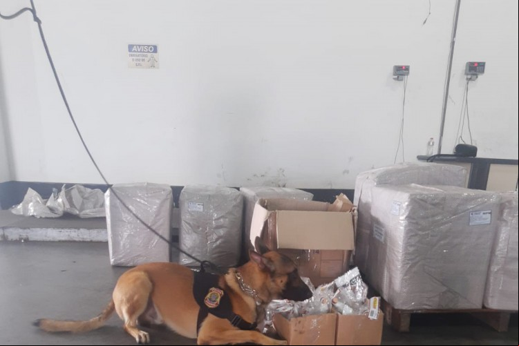 Com a ajuda de um cão farejador, a Polícia Federal apreendeu cocaína escondida dentro de prumo usado na construção civil