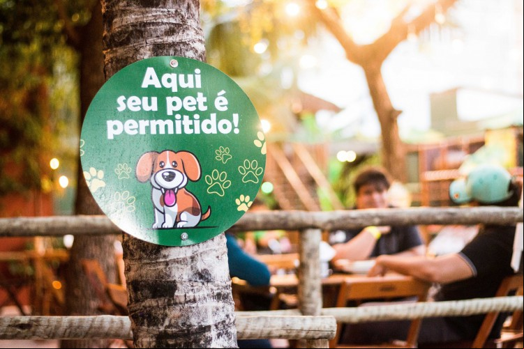 Foto ilustrativa de apoio: A Prefeitura de Fortaleza, por meio da Setfor e da Coepa, promove na quinta-feira, 7, a inauguração de um letreiro instagramável do projeto Fortaleza Pet Friendly. O evento ocorre a partir das 17 horas.
( Foto: Fernanda Barros / Especial Para O Povo)