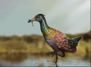 PALEOARTE reconstruindo a 