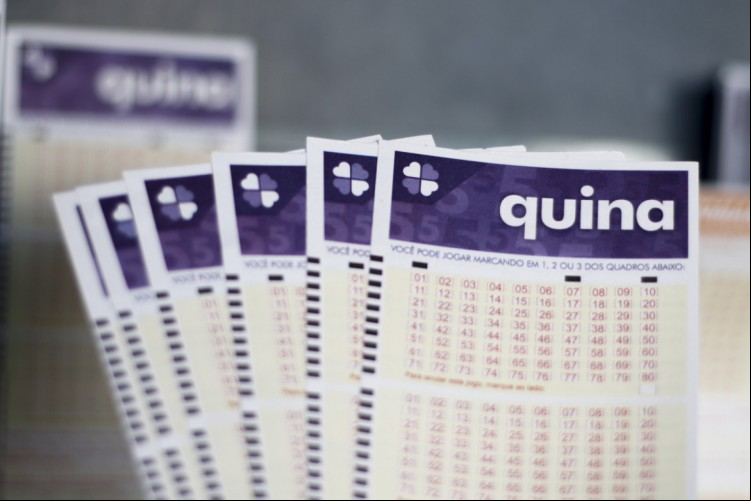 Quina, Concurso 6533, resultado de hoje, sábado, 14 de setembro de 2024 (14/09/24). O prêmio é de R$ XX