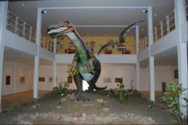 Museu de Paleontologia Plácido Cidade Nuvens da Universidade Regional do Cariri (URCA)