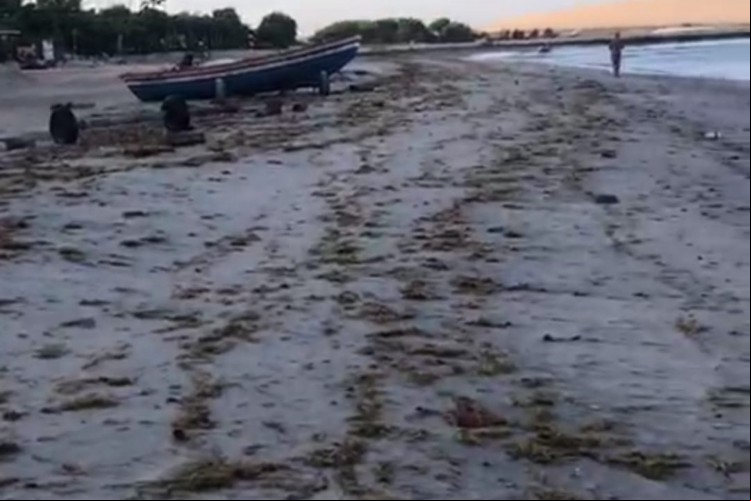 Segundo o secretário de Pesca do município, Danilo Menezes da Silva, o fenômeno ocorre durante todo ano na região