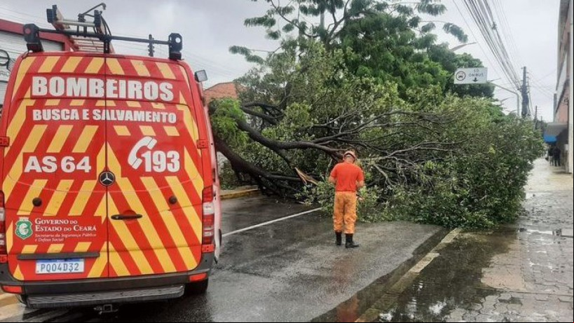 Na maioria dos casos, corte é realizado pelo poder municipal, mas bombeiros podem ser acionados em fins de semana, por exemplo