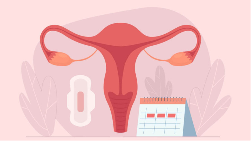 A cólica é comum durante o período menstrual (Imagem: Nazarkru | Shutterstock)