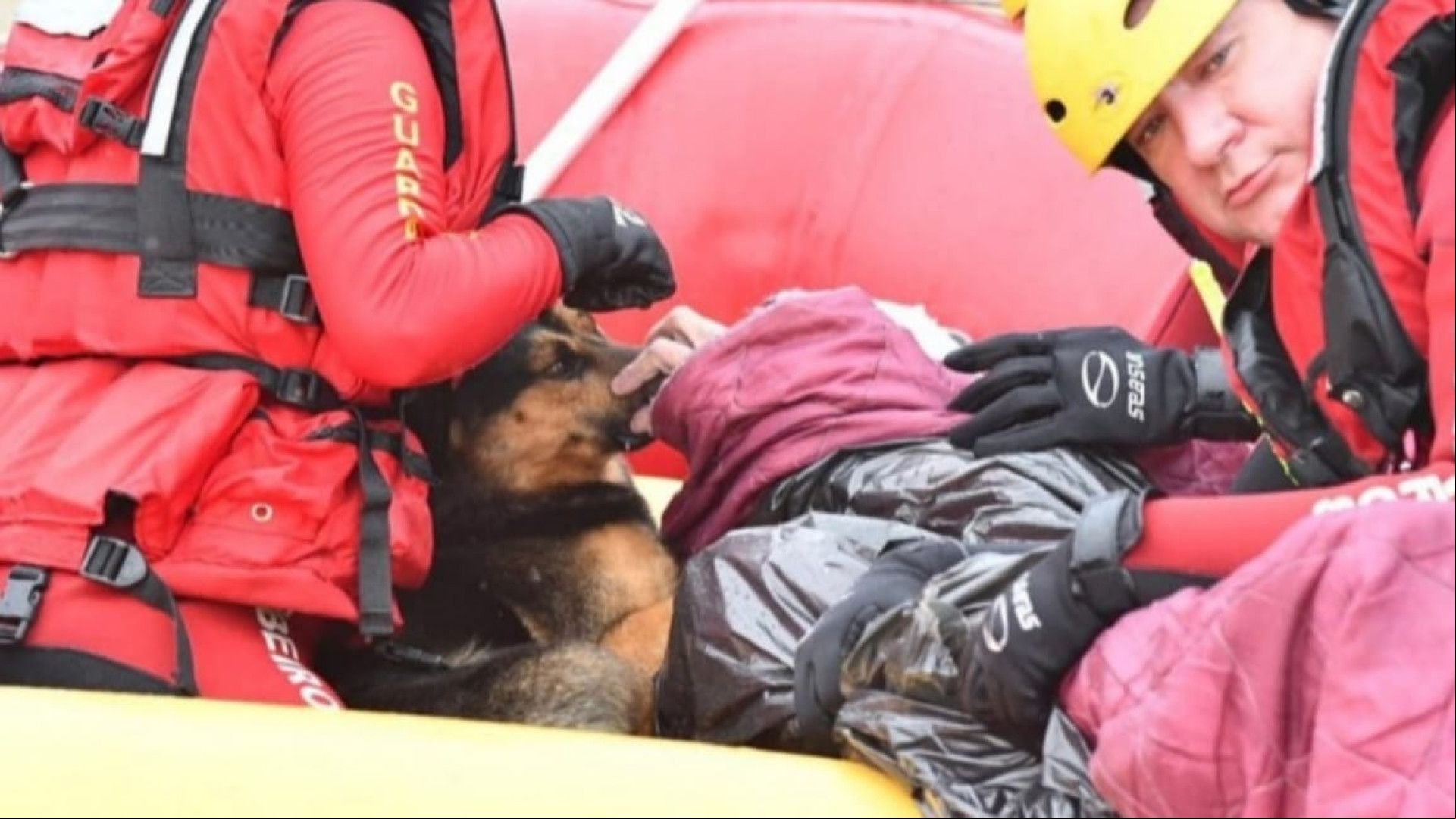 Cachorro ajuda a aquecer dono resgatado com hipotermia durante enchente em Rio do Sul, Santa Catarina