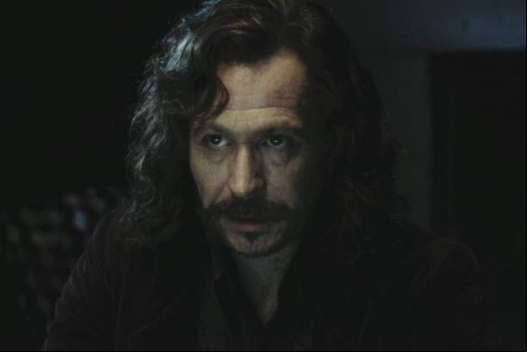 Ator Gary Oldman também afirmou que não leu os livros de