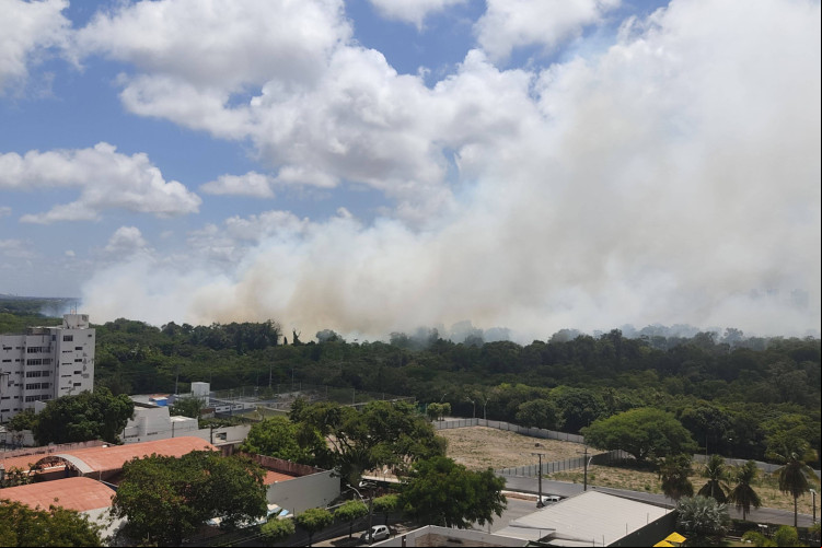 Moradores de diferentes bairros de Fortaleza compartilham relatos sobre incêndio no Cocó