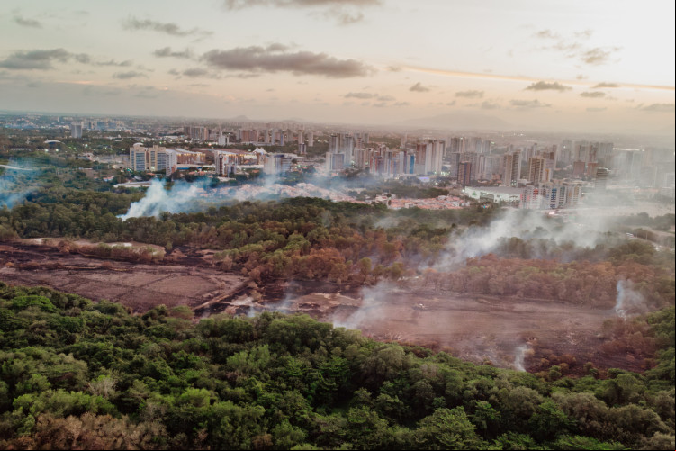 ￼INCÊNDIO começou no Cocó na manhã de quinta-feira ada