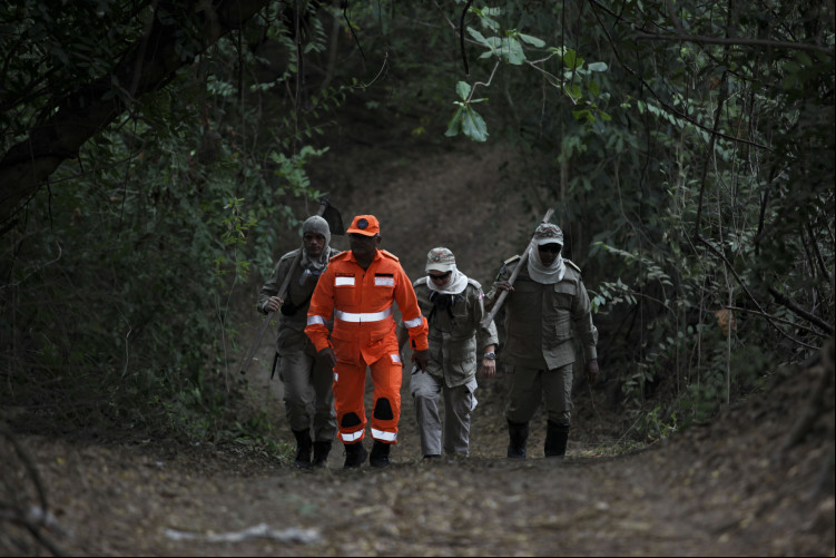 FORTALEZA, CEARÁ, BRASIL, 22.01.2024: Agentes do corpo de bombeiros fazem trabalhos para conter fogo no Cocó.
