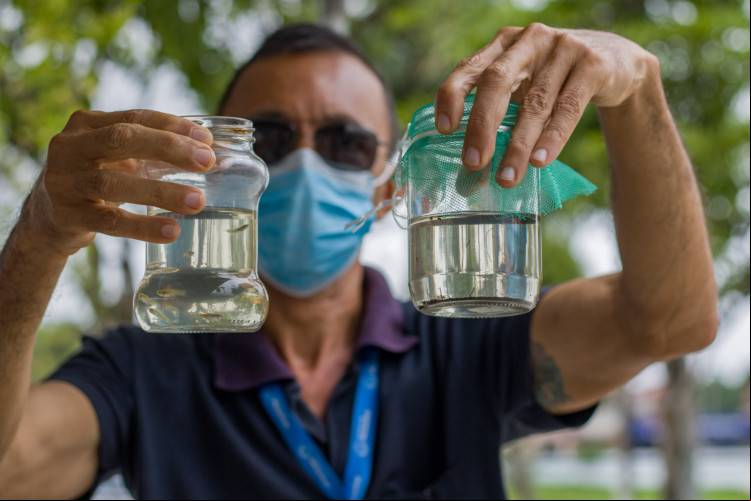 Prefeituras de Fortaleza e Maracanaú realizam ação conjunta para controle do mosquito transmissor da dengue e demais arboviroses