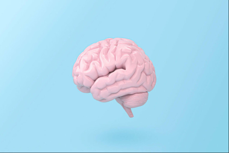 A doença de Parkinson atinge principalmente pessoas com mais de 55 anos (Imagem: ImagesRouges | Shutterstock)