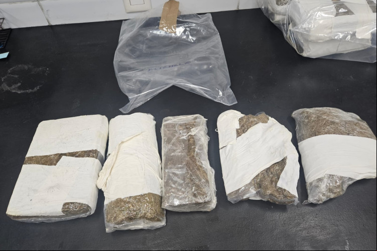 Apreensão de maconha no Aeroporto de Fortaleza