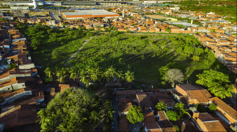 10 bairros vão perder áreas verdes em Fortaleza, após Câmara Municipal afrouxar legislação