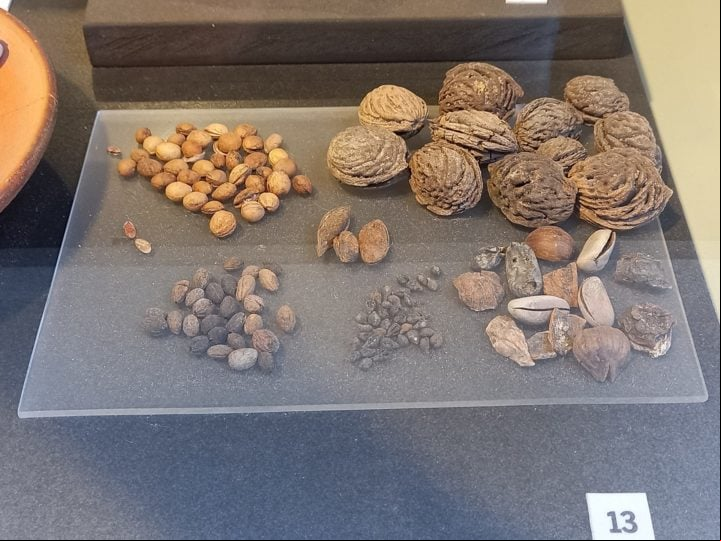 Os arqueólogos encontraram vestígios que apontam que alimentos como nozes, uvas, figos e amoras faziam sucesso no local.