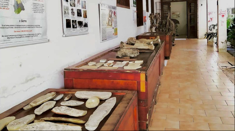 Museu de Pré-História de Itapipoca (MUPHI) abriga pesquisas e tem exposições sobre o período Quaternário, quando viveu a chamada megafauna