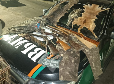 Material foi apreendido pelo Batalhão de Polícia de Meio Ambiente (BPMA), da Polícia Militar do Ceará (PMCE) 