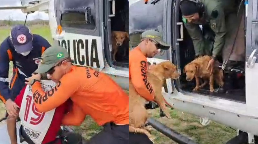 Idoso foi resgatado com dois cachorros de zona rural de Independência após enchentes