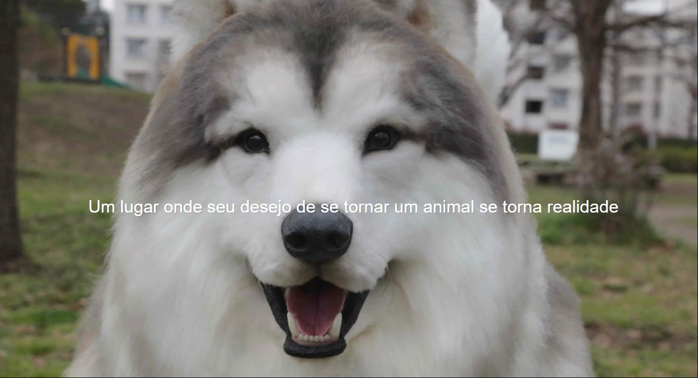 Após ter declarado ao canal de notícias WanQol que estava reconsiderando a decisão de viver como cão, Toko, o homem-cachorro do Japão, inaugurou em 26/01 o “TocoTocoZoo”, um “zoológico” em que as pessoas podem viver a experiência de encarnar algum animal por algumas horas.
