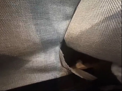 Brecha do sofá onde a gata Sunny-Loo foi encontrada por sua família Brecha do sofá onde a gata Sunny-Loo foi encontrada por sua família