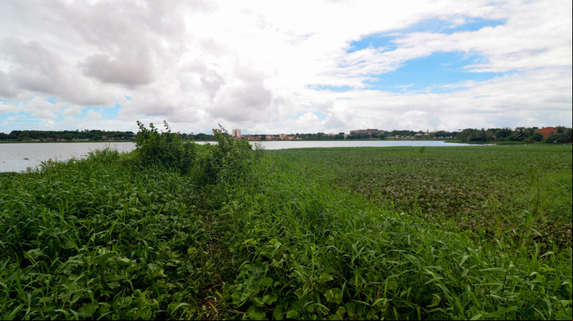 Píer da Lagoa da Parangba coberto de plantas. E o entorno da Lagoa apresenta acumulo de lixo, estruturas quebradas ao redor e uma concentração grande de Aguapés no espelho d´água