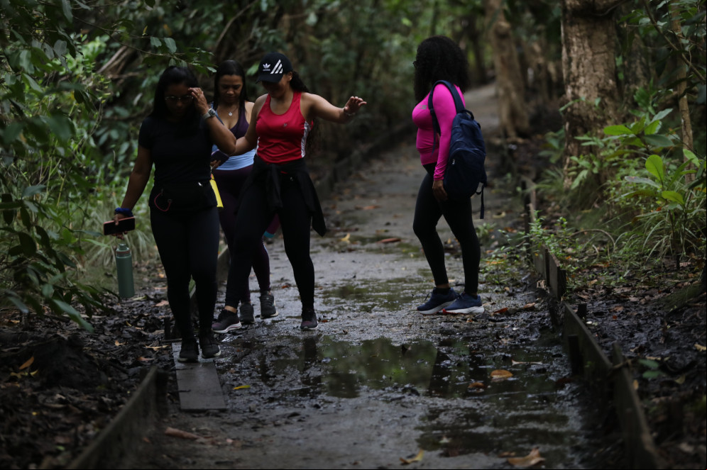 FORTALEZA-CE, BRASIL, 09.03.2025: Trilhas do Parque do Cocó em época de chuva.  (foto: Fabio Lima/ OPOVO)(Foto: FÁBIO LIMA)