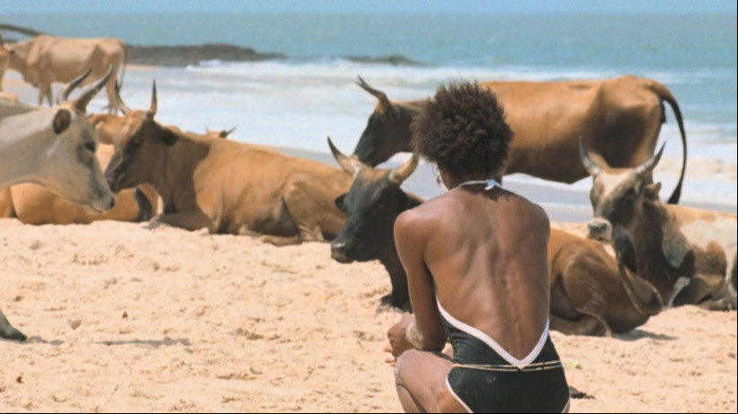 Filme