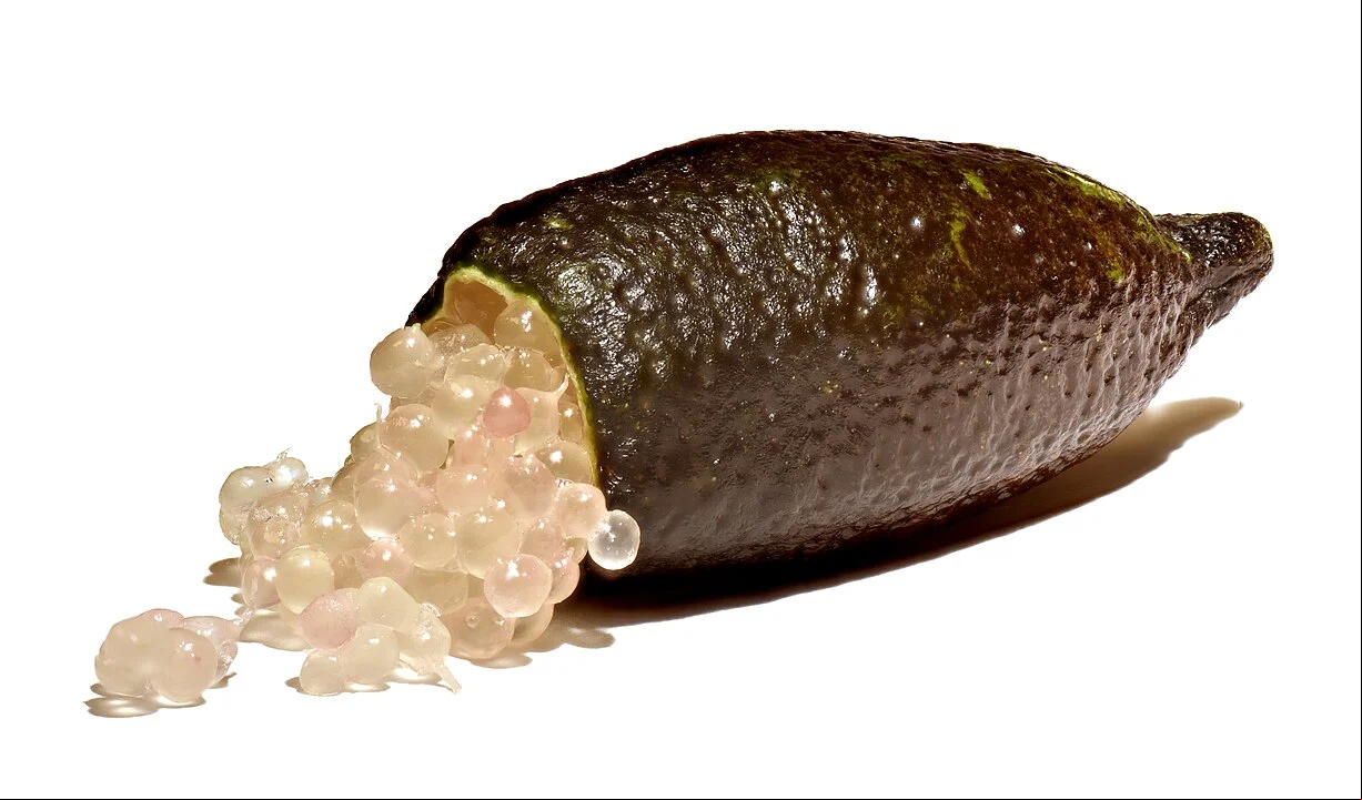 Uma fruta cultivada em Santa Catarina  custa cerca de R$ 600 a R$ 1 mil ou até mais o quilo, dependendo do lugar. É o limão-caviar, também chamado de 'finger lemon', já que seu formato é comprido e finger é dedo em inglês.  
