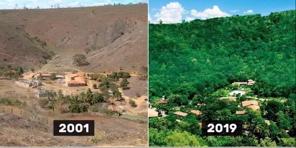 Mais de 2 milhões de árvores foram plantadas por Sebastião Salgado e Lélia em um projeto que transformou um deserto verde em floresta nativa Mais de 2 milhões de árvores foram plantadas por Sebastião Salgado e Lélia em um projeto que transformou um deserto verde em floresta nativa
